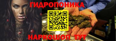 стаф Заводоуковск